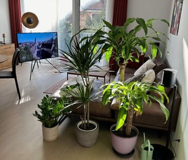 Appartement moderne à louer ! - Photo 4