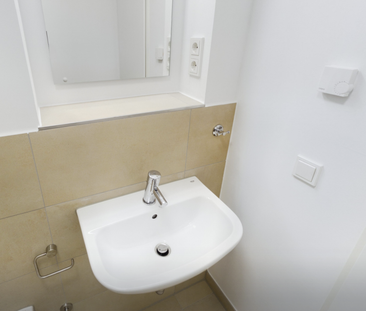 Suite Plus 1.31 - Photo 4