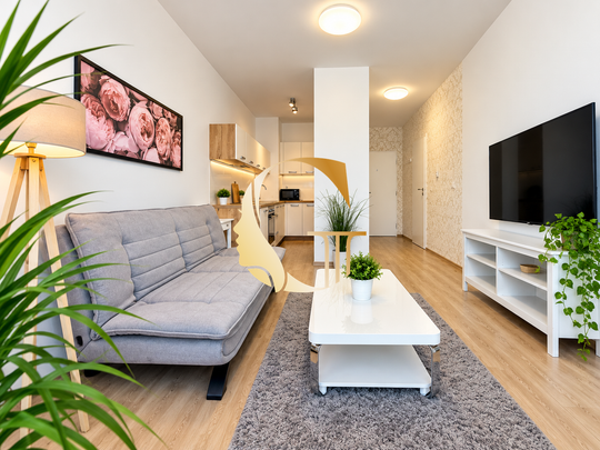 GODDESS PROPERTY - exkluzívne - PRENÁJOM - 2 izb byt 43 m2 s LOGGIOU a s KLIMATIZÁCIOU - parking - povolené ZVIERATKO - BAJKALSKÁ 45G - Nový Ružinov - Photo 1