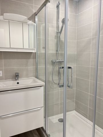 Location Appartement 1 pièce 31m² SEYSSINS 38180 - Photo 3