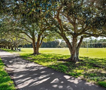 Ocean views in prime Manly Vale setting - Photo 3