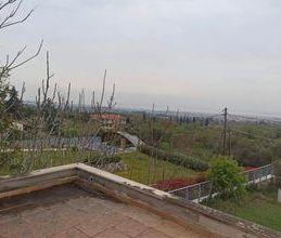 Κτίριο για ενοικίαση - Πυλαία, - Photo 3