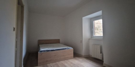 Location Appartement 2 pièces 33m² ST CHELY D APCHER 48200 - Photo 3