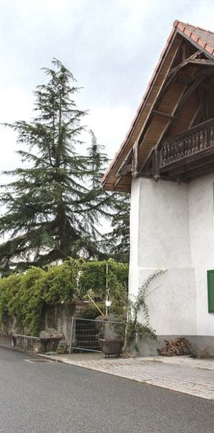 Maison mitoyenne de 4 1/2 pièces avec jardin - Photo 2