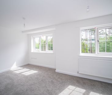 3 bedroom house to rent - Photo 1