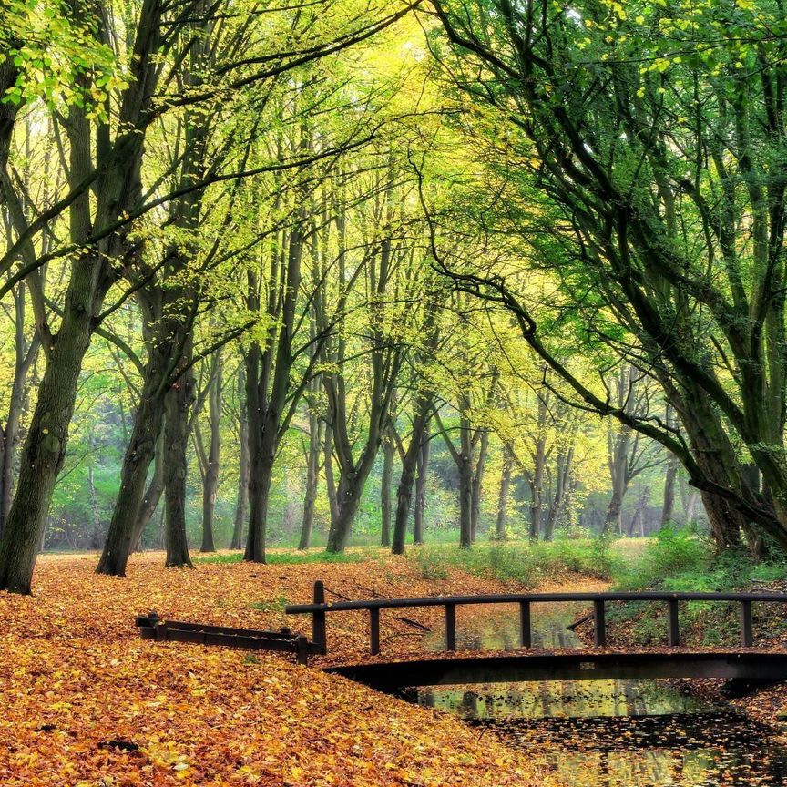 Marne 4 1186 NZ Amstelveen - Foto 1