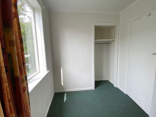 Sunny 4 bedroom apartment in Mt Vic - Photo 1