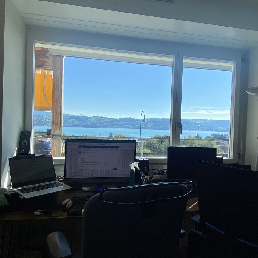 2-ROOM APARTMENT IN MÄNNEDORF (ZH), FURNISHED, TEMPORARY - Foto 1