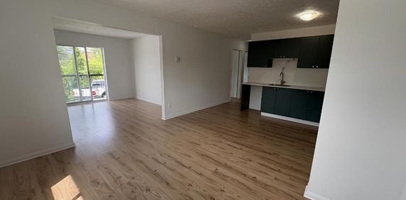 Plusieurs unités disponibles dans un immeuble calme et bien entretenu - Photo 2