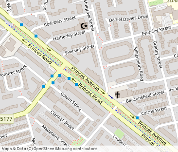 Princes Ave, L8 - Photo 1