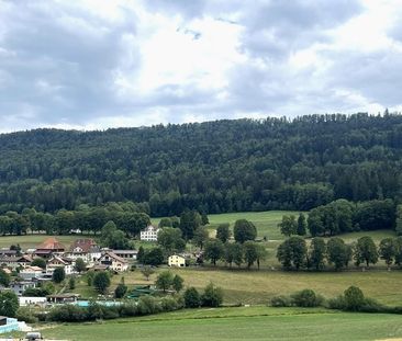 Bel appartement avec vue dégagée sur la chaine du Chasseral - Foto 6