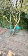 LOCATION STUDIO RESTINCLIERES - Photo 3