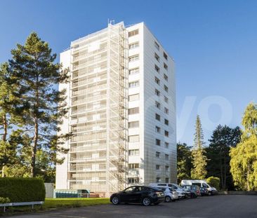 RENOVATED APARTMENT WITH BALCONY AND ELEVATOR - Photo 4