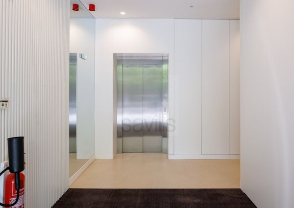 T1 FACTORY - The Garden (Jardins da Efanor)