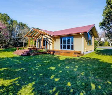 What a beauty! - Photo 5