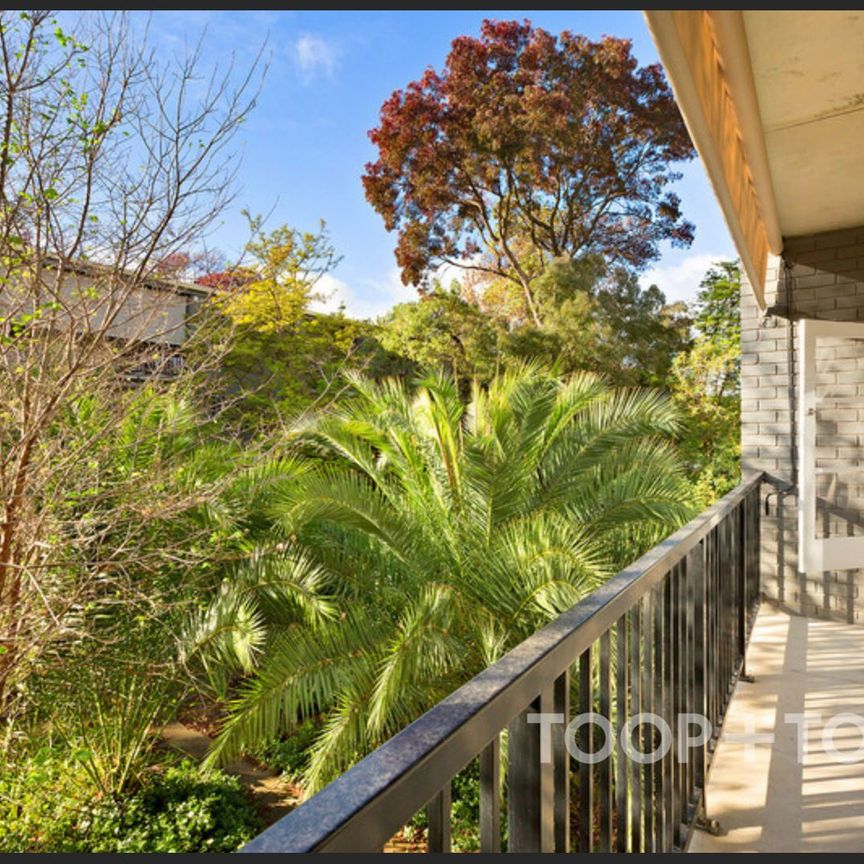 City Living with Parkland Views - Photo 1