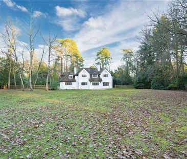 A beautiful family home adjacent to mature woodlands in Ascot - Photo 6