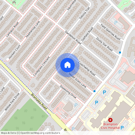 55 Velvet Grass Lane Unit# B, Brampton