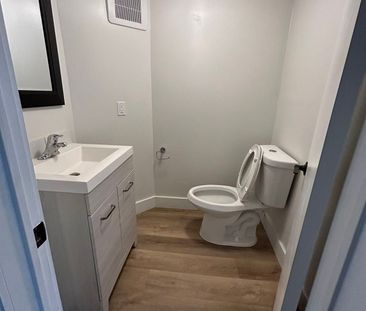 For Lease - 128 Sheldon Avenue Unit# Basement, Newmarket, Ontario - Photo 2