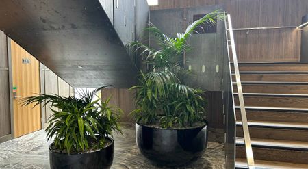 3/12 Twelfth Avenue - Photo 4