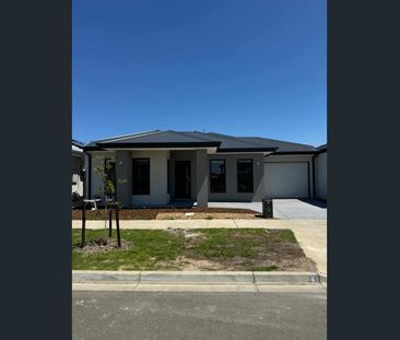 Stunning Family Home in Berwick - Photo 5