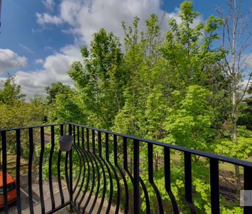 Birchend Close - Photo 5