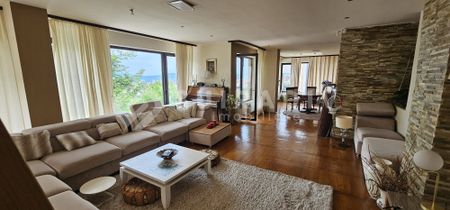 Casa individuala, pet friendly, 7 camere, 5 bai, 5 parcari,curte, rooftop- Europa - Photo 4