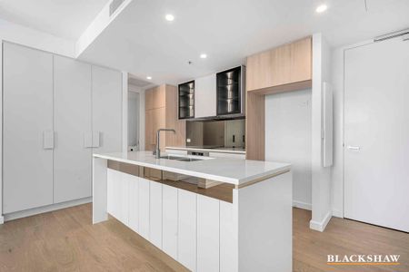 "THE GRIFFIN" - Photo 5