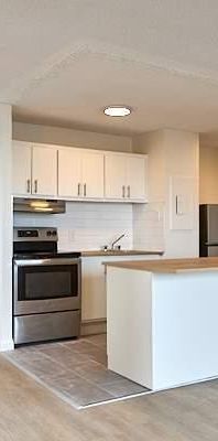 1 CH - 1 SDB - Longueuil - $1,590 /mo - Photo 1