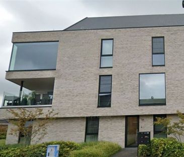 Hoogstraatsebaan 54, 2390, Malle - Photo 3