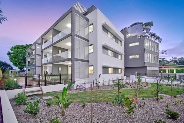 302/161-163 Mona Vale Road, St Ives NSW 2075 - Apartment For Rent | Domain - Photo 1