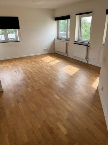 Furugatan, Malmö - Photo 2