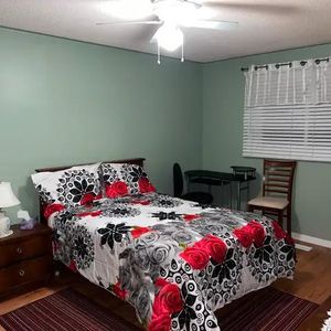 3 4 1/2 Superbe a louer Meuble complet Tout Inclus! rent station Metro Montreal Longueuil Disponible immediatement! Bienvenue! - Photo 2