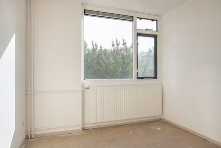 Rumpler, 6, Soesterberg - Foto 2