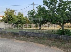 Μονοκατοικία για ενοικίαση - Καπανδρίτι - Photo 1