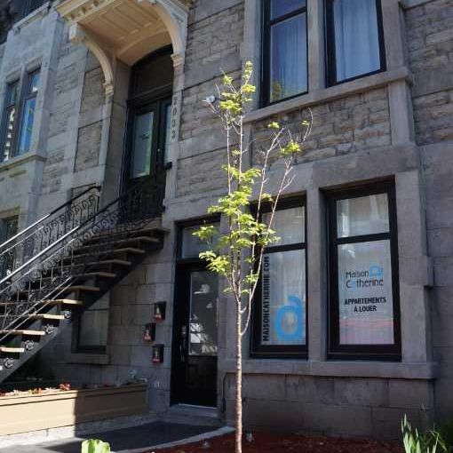 2 chambres fermées; métro Sherbrooke; meublé tout inclus+internet - Photo 1