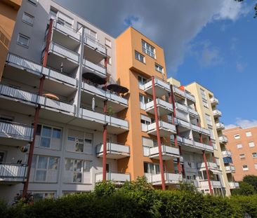 Naturnahes Wohnen in Sindelfingen: 1-Zimmer-Wohnug direkt am Waldrand - Foto 1