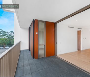 AB401/6 University Road, Miranda NSW 2228 - Apartment For Rent | Do... - Photo 5