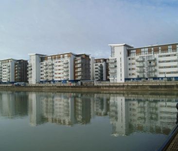 Bimini Court - Photo 3