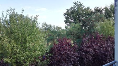 Joli T2 avec terrasse en Résidence - Photo 4