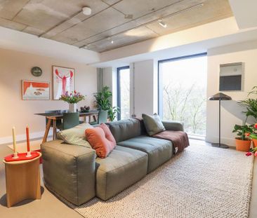 1 bedroom duplex to rent - Photo 3