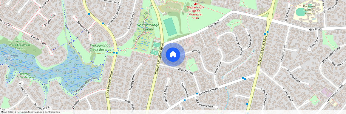 40 Lisa Rise, Half Moon Bay, Manukau City