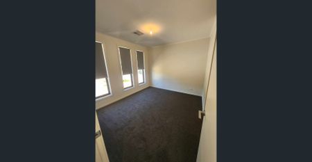 New 4 Bedroom Designer Home - Photo 5