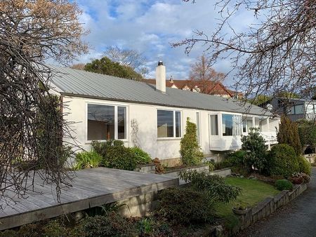 Spacious Sunny Family Home - Photo 3