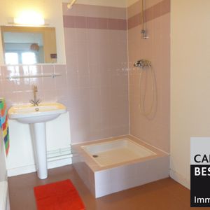 Location Appartement 1 pièce 18m² GRENOBLE 38000 - Photo 3