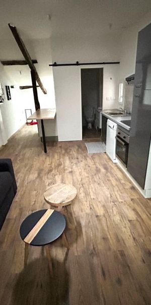 Location Appartement 2 pièces Meublé 36m² AIRE SUR L ADOUR 40800 - Photo 1