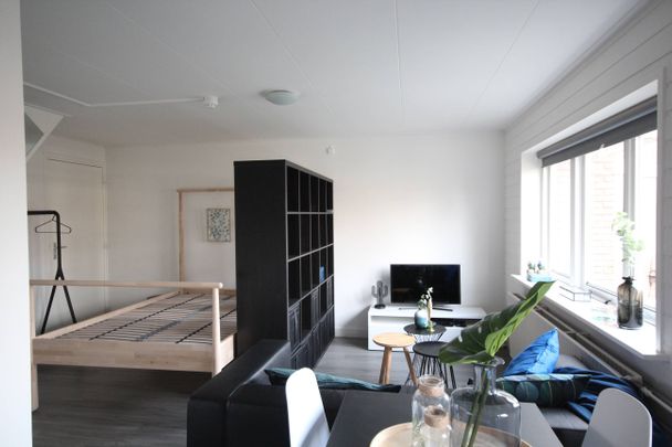 Te huur: Studio Molenweg in Zwolle - Foto 1