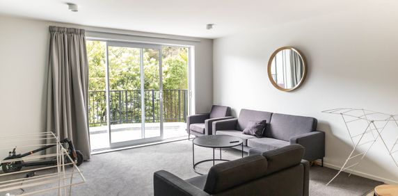 Brand new Studio Rooms on Malvern Street - Available for 2026 - Photo 2