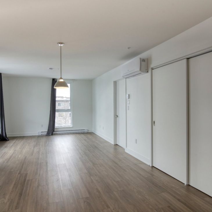 9675 Av. Papineau, app.321, H2B 3C8, H2B 3C8, Montréal - Photo 1