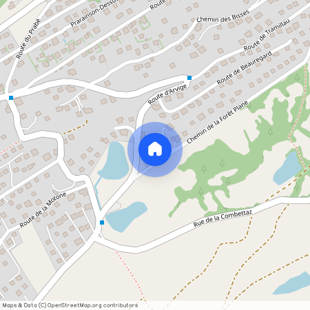 Chemin de la Forêt Plane 3, 1965 Diolly (Savièse)